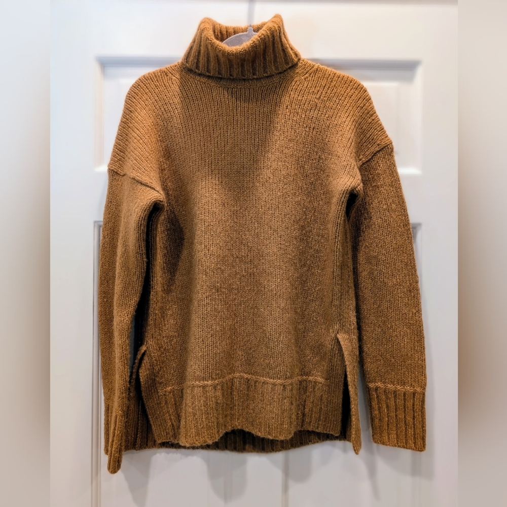 Everlane The Cloud Oversized Wool Alpaca Turtleneck Sweater